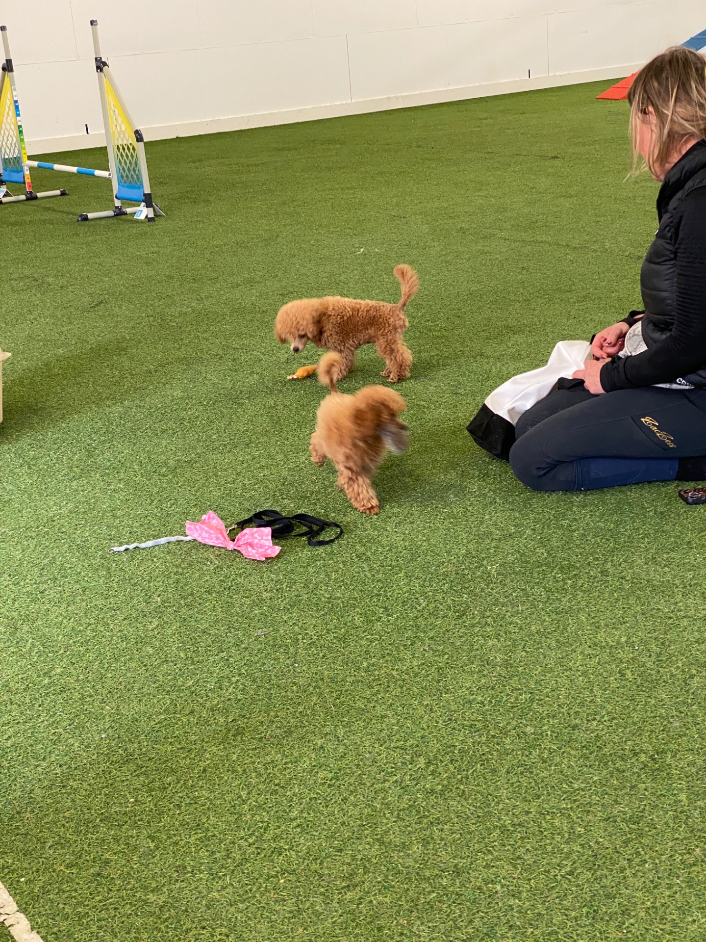 Socialisering med Roxy och Gabriel